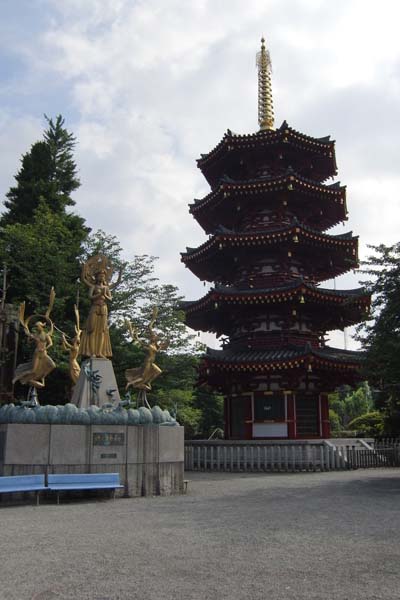 100810kawasakiM.jpg