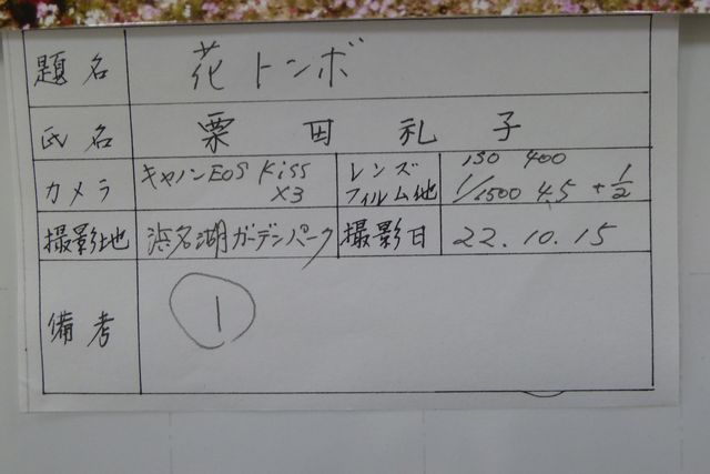 101111-12.jpg
