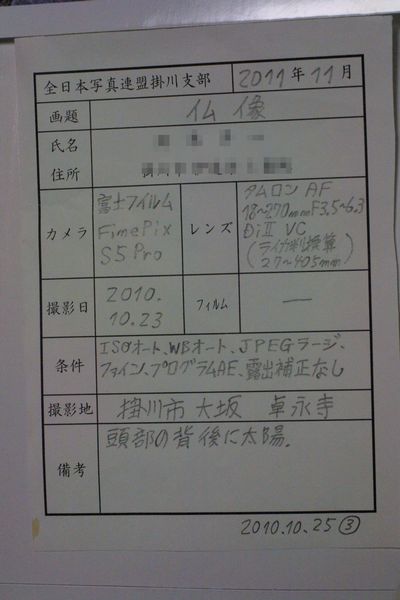 101111-1A.jpg