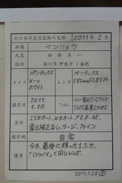 110210-12.jpg