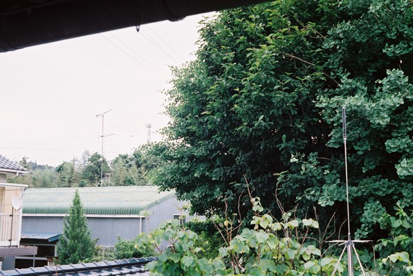 110607ikonta35.jpg