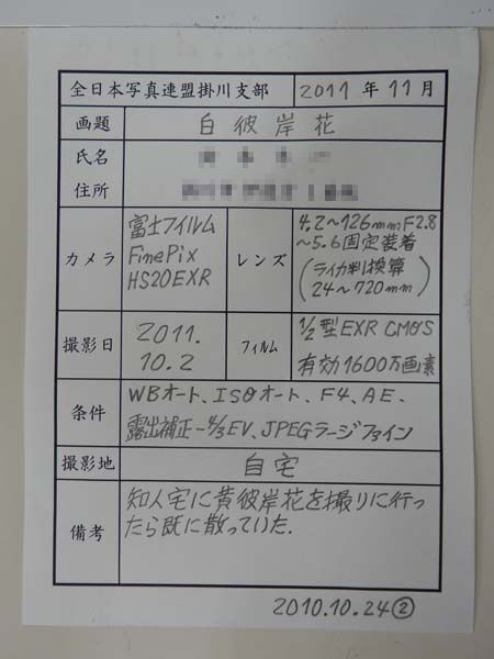 111110-14.jpg