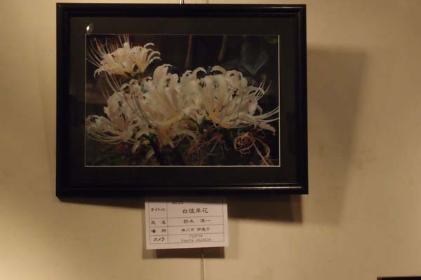 111206-23.jpg