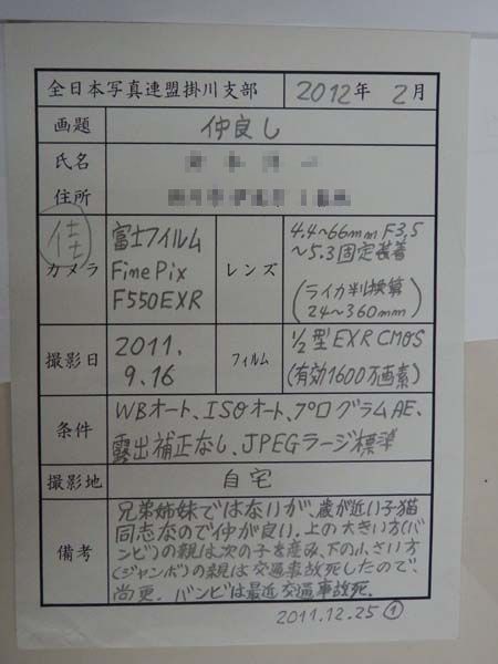 120112-10.jpg