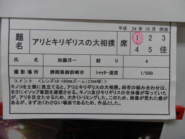121011-07.jpg