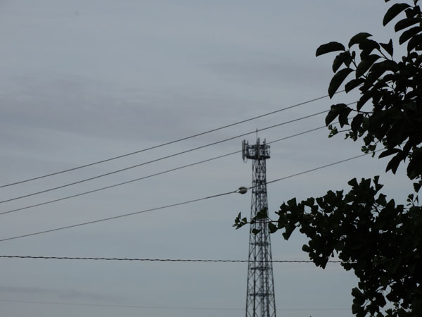 130702hx300-200.jpg
