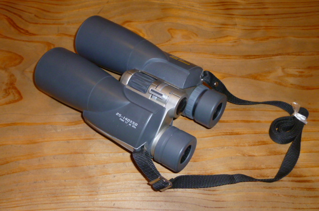 140307pitBino.jpg