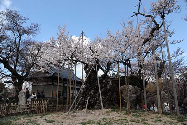 140406-1.jpg