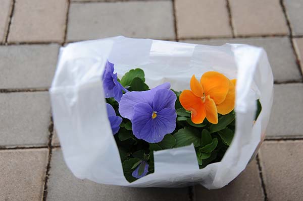 140406-6.jpg