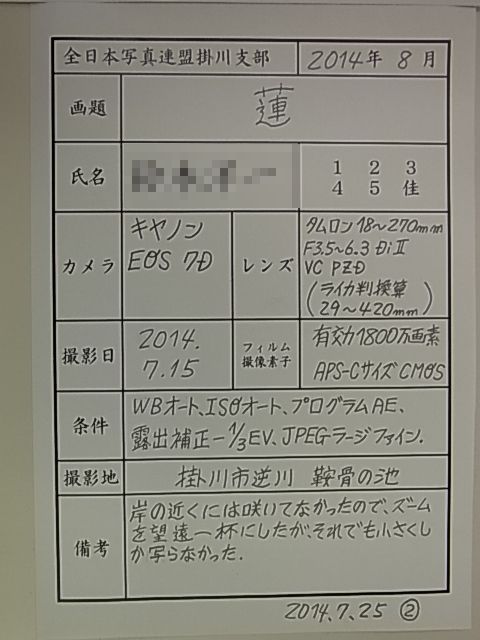 140807-11.jpg