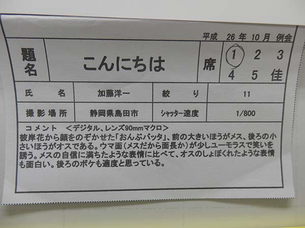 141010-08.jpg