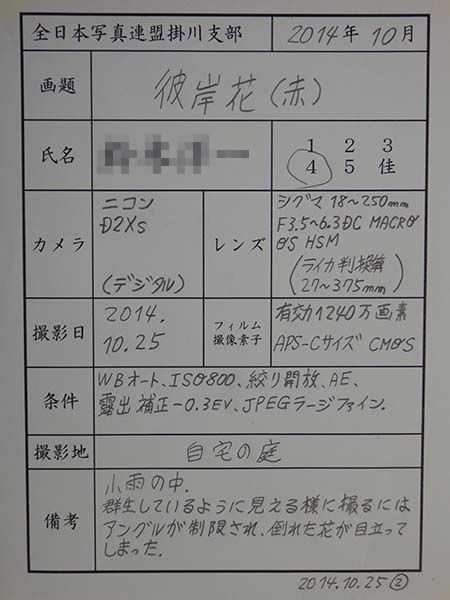 141010-10.jpg