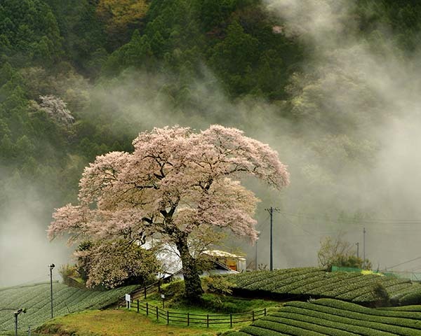 150508nakadamichio.jpg