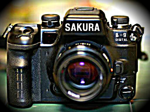 SAKURA-9Digital.jpg
